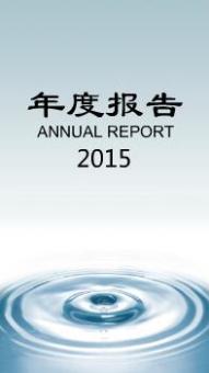年度企业报告